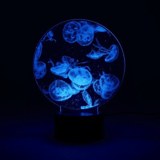 Chatani 茶谷 Fun Science 水母霓虹燈 4