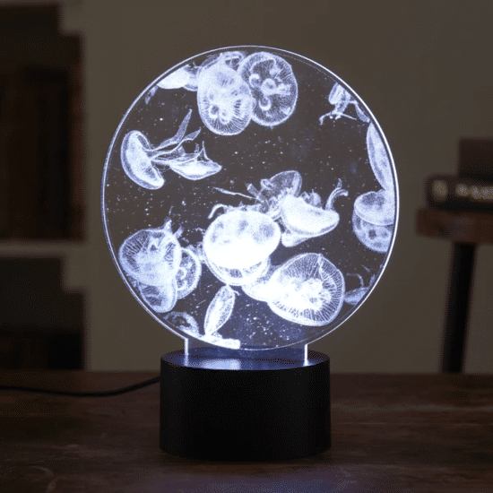Chatani 茶谷 Fun Science 水母霓虹燈 9