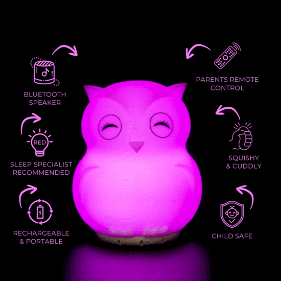 Duski Dream Guardian Owl 3