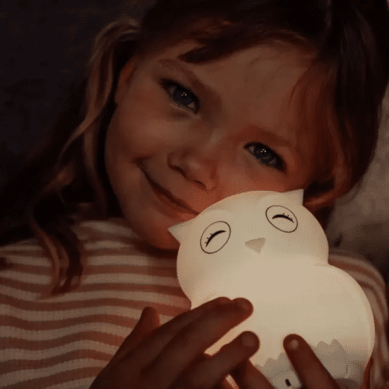 Duski Dream Guardian Owl 4